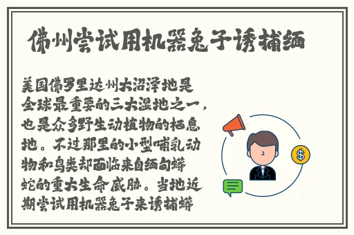 四女手指画
